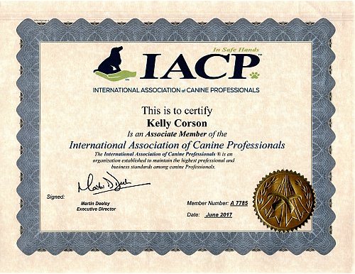 International Association of Canine Professionals Certificate