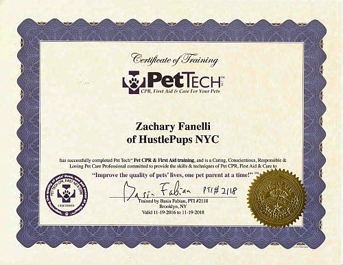 Pet First Aid & CPR Certificate